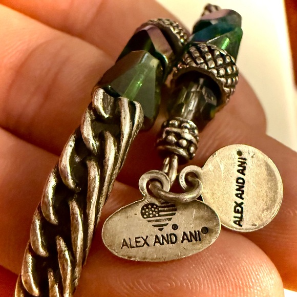Alex and Ani Vintage Silver Bracelet with Multicolor Accents - Picture 4 of 5